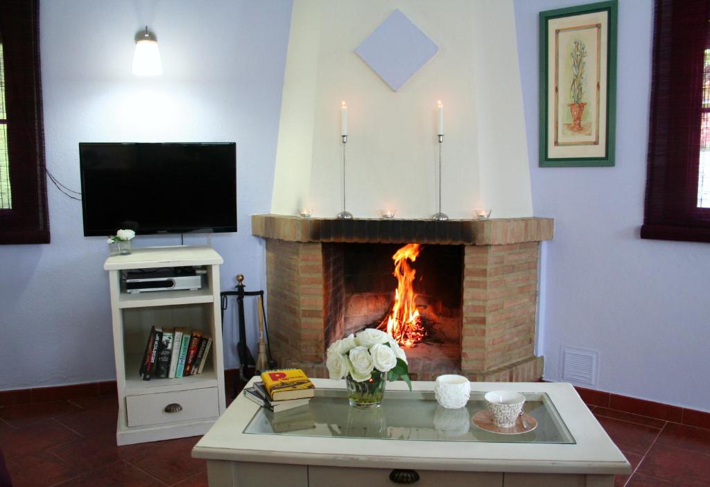 埃尔加斯托尔阿尔加罗巴勒斯乡村旅馆的客厅设有壁炉和电视。