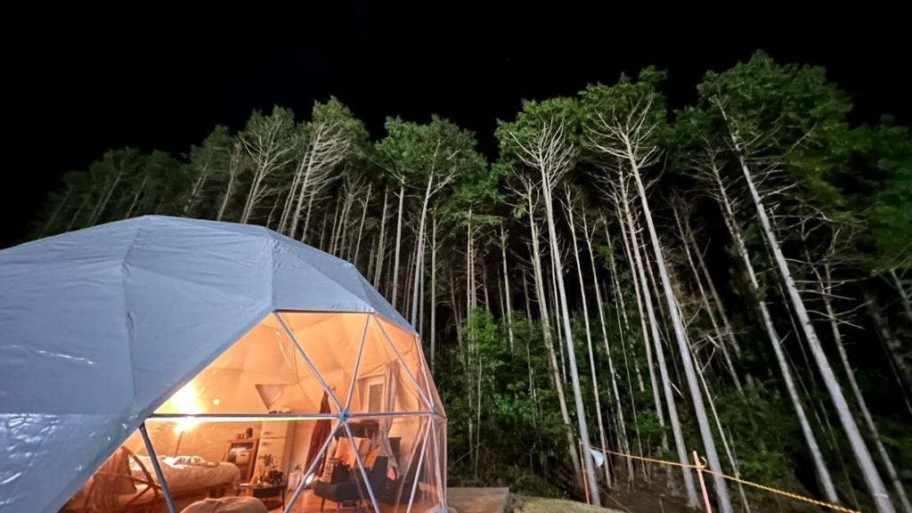 三岛市Kannami Springs Hotel Kannami Glamping - Camp - Vacation STAY 62738v的夜晚在树林前的帐篷