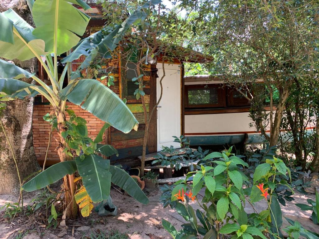 弗洛里亚诺波利斯Casa Barco Campeche的花园里的一座小房子,种植植物