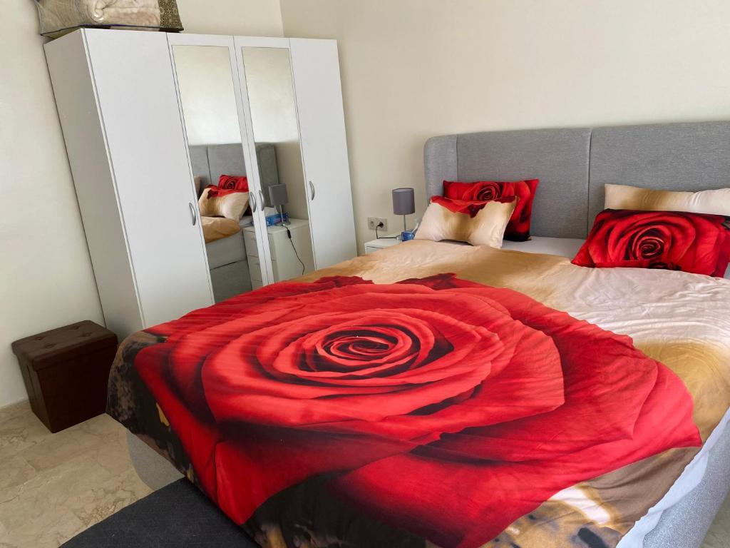 阿加迪尔Apartement Marina Zina, Agadir的一间卧室,床上有红玫瑰