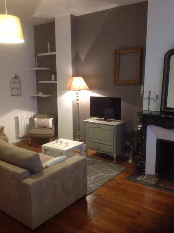 奥尔良切斯尤杜思公寓 的带沙发和电视的客厅