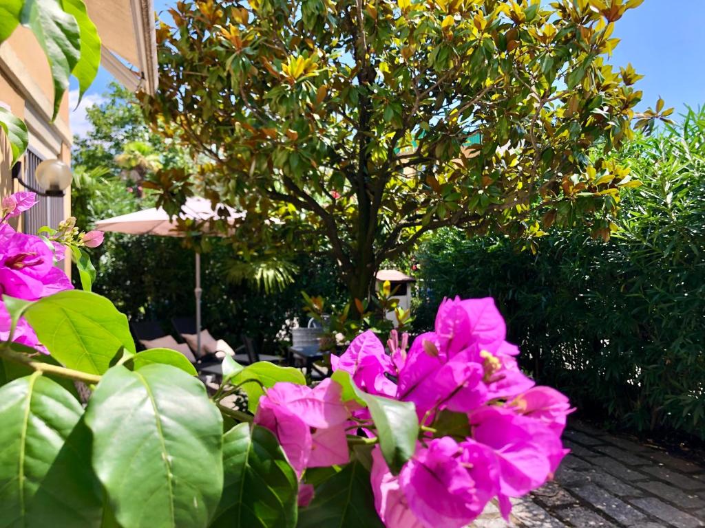 加尔达湖滨Appartamento villatorretta24的树前的一群粉红色花