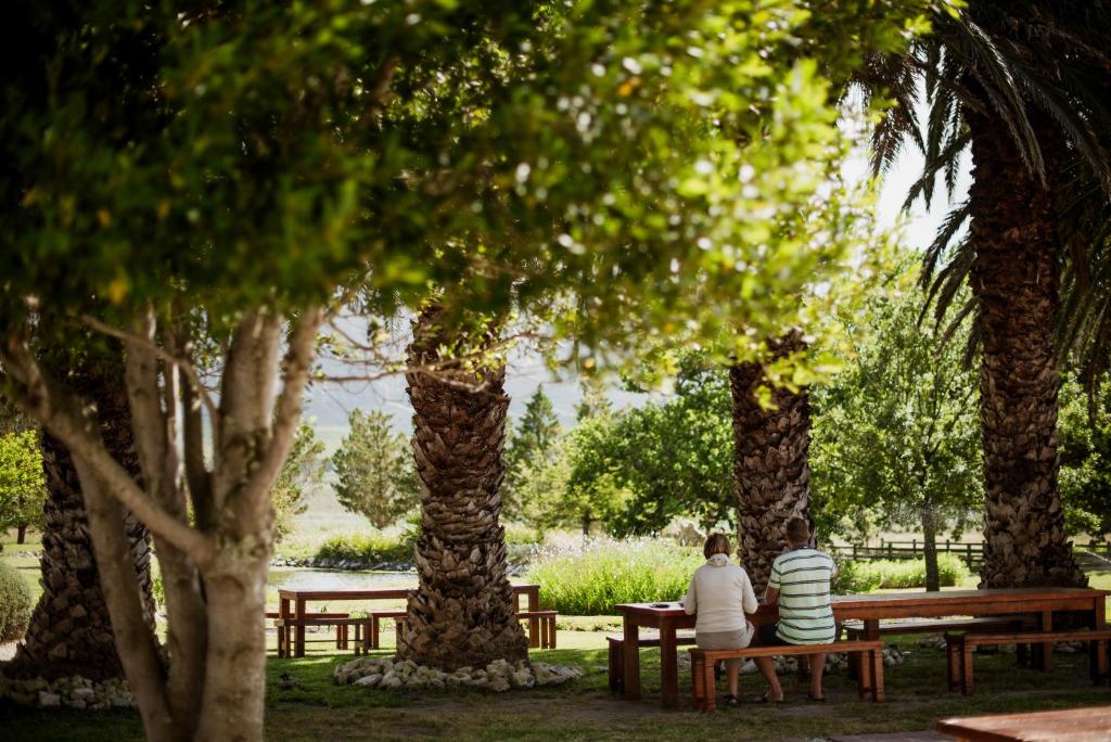 斯坦福Springfontein Wine Estate的两个人坐在树丛中的公园长椅上
