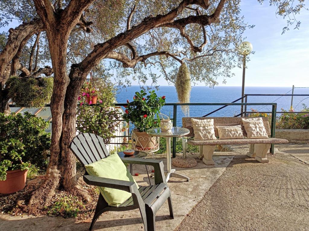 博尔迪盖拉Gli Orti sul mare 1的庭院里种着树,设有长凳和桌子