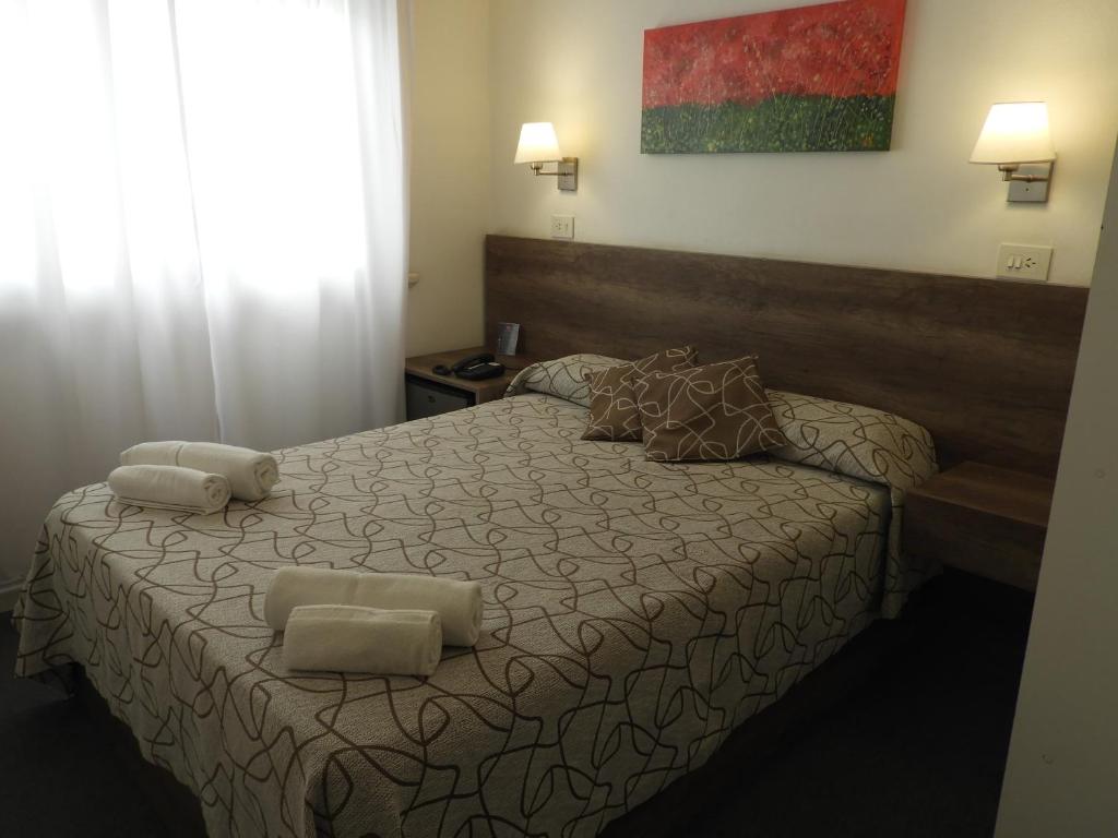 坦迪尔HOTEL ROMA DE TANDIL的一间卧室配有一张带两个枕头的床