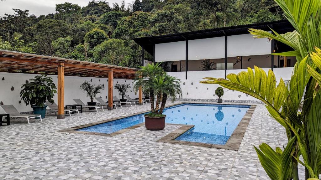 明多Las Terrazas de Dana Boutique Lodge & Spa的一个带游泳池和棕榈树的度假村