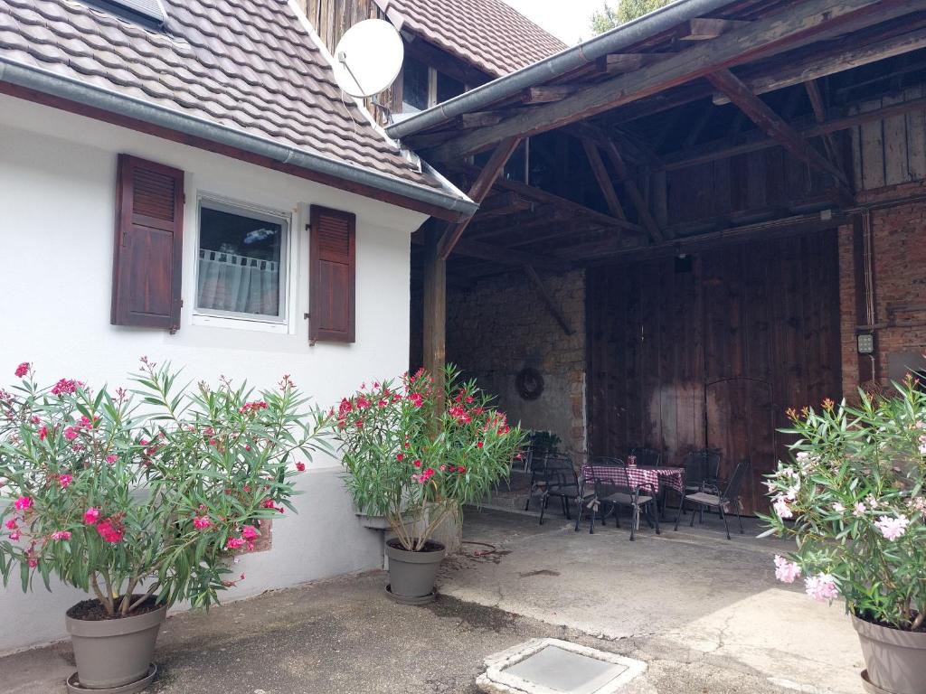 莱茵豪森Kleines Bauernhaus mit nostalgischem Flair的白色的房子,种有盆栽植物,设有露台
