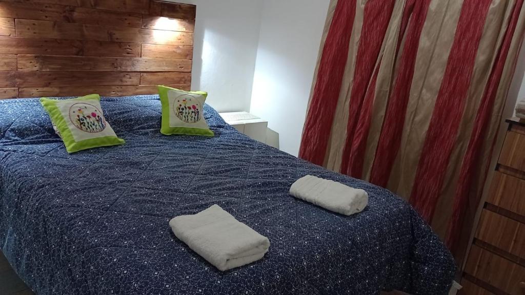 Vista FloresAlojamiento Shanti的一间卧室配有蓝色的床和两个枕头