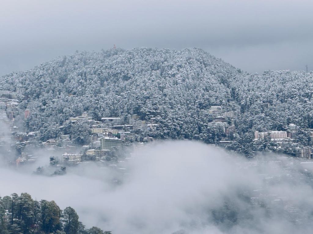 西姆拉Staynest Mashobra with balcony- A peacefull stay的被树木覆盖的山和雾中的城市