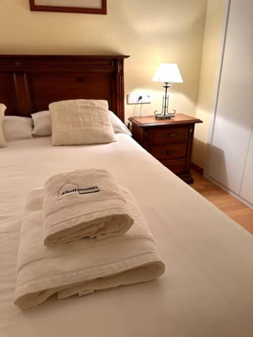 马尔蒂内特Acogedor alojamiento en Martinet, Cerdanya.的一间卧室配有一张床,上面有两条毛巾
