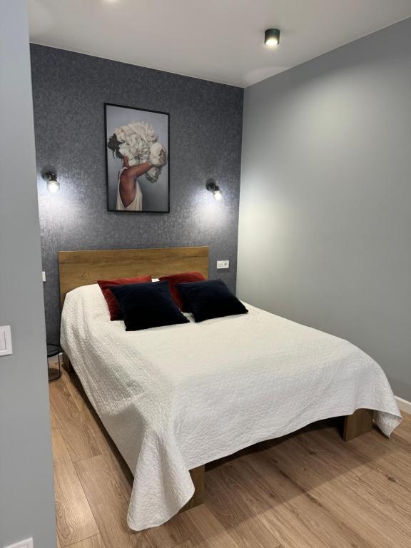 捷尔诺波尔Стильна чудова квартира в місті Тернопіль的一间卧室配有一张大床,配有白色床单和红色枕头