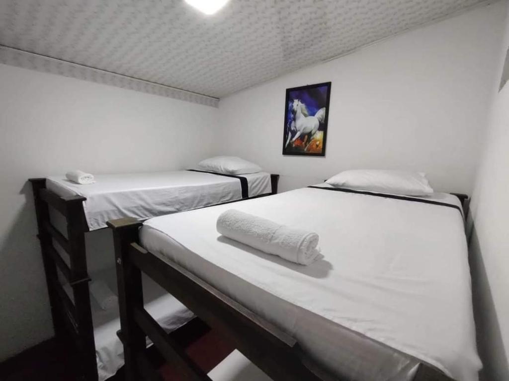 NorcasiaCasa Hostal M&M的宿舍间设有两张双层床,可为入住客人提供