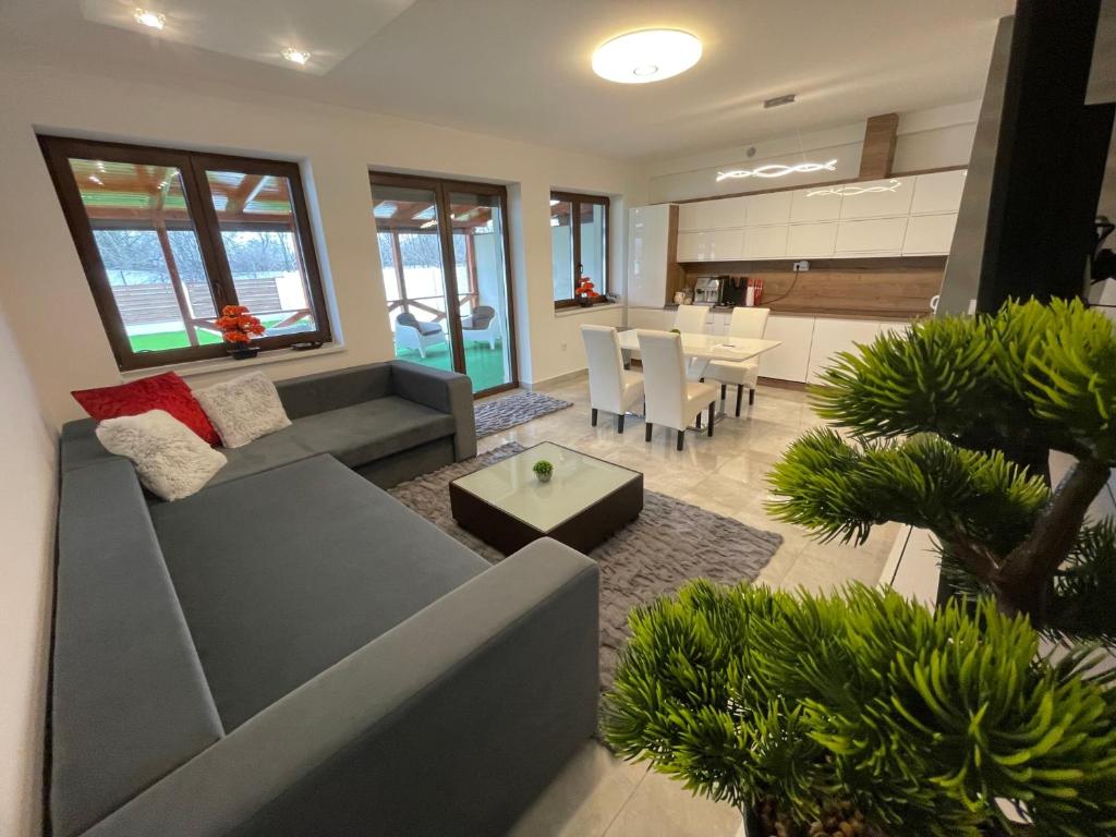 德布勒森VRG 1 Exkluzív Apartman的客厅配有沙发和桌子