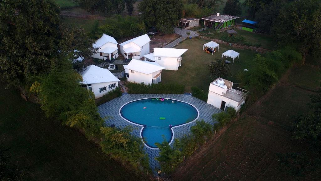 塔拉Olive的享有带游泳池的房屋的空中景致