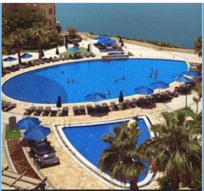 索瓦马Comfy Stays Sea View Apartments at DeadSea Samarah Resort的一座棕榈树和海洋的大型游泳池