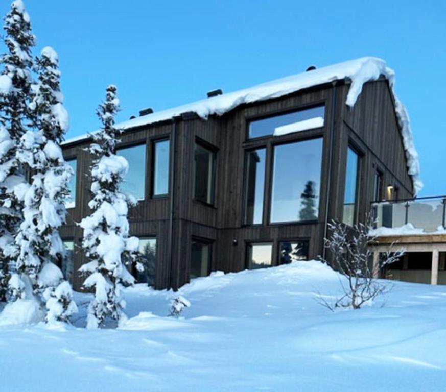 韦姆达伦Charming cottage in Vemdalen near skiing的雪中木屋,有雪覆盖的树木
