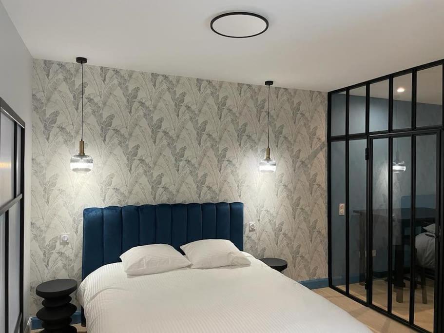 里昂Appartement pour 1à2 personnes#2的一间卧室配有蓝色的床和两个枕头