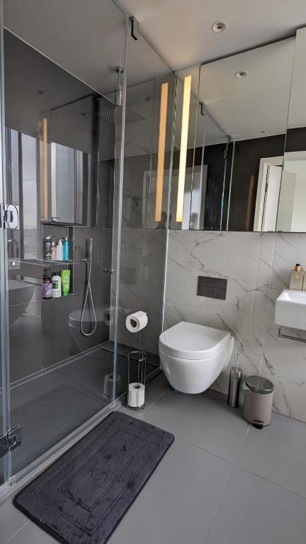 伦敦Lovely Views Of Canary Wharf的浴室配有卫生间、淋浴和盥洗盆。
