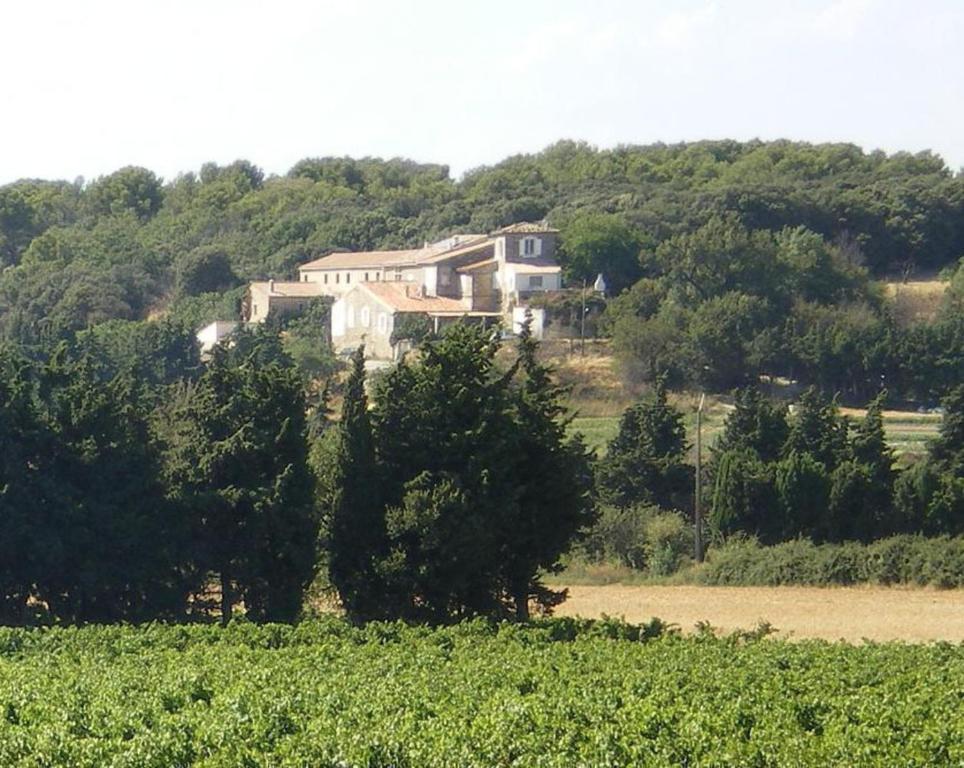 奥龙Appart Hôtel - Nature et Spa的田野上山顶的房子