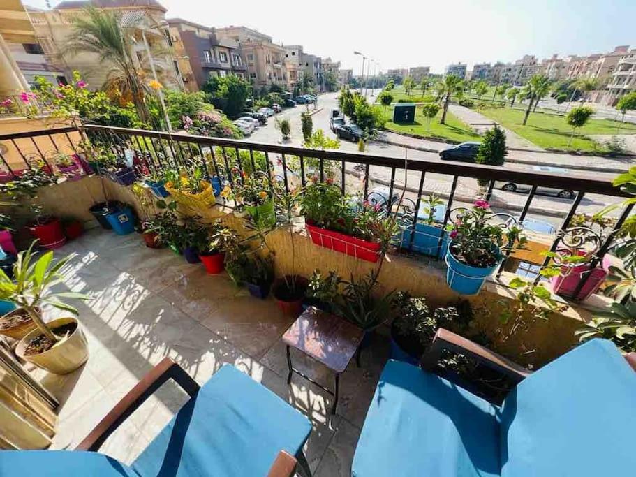 开罗Shared Apartment close to airport garden view منزل مشترك بالقرب من المطار مطل على حديقة的阳台配有椅子和盆栽植物