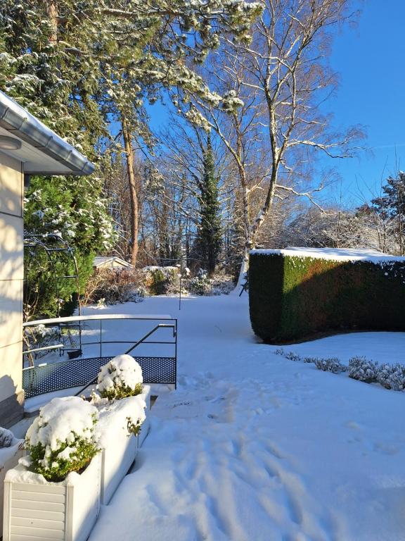 滑铁卢Studio La Rotonde的一座被灌木和树木覆盖的雪地