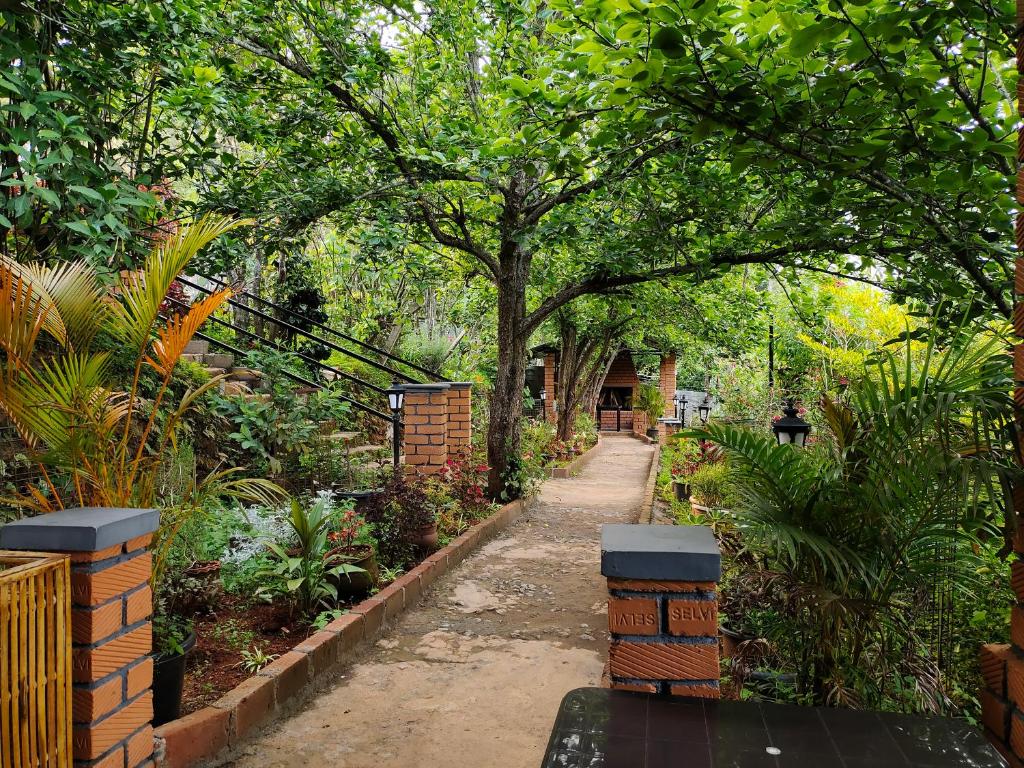 科塔吉里Pear Tree Entire 2BHK Villa Kotagiri的树木和植物花园中的路径