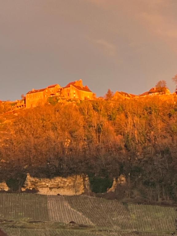 VoiteurGITE LE MAGNOLIA的享有树木和建筑的山景