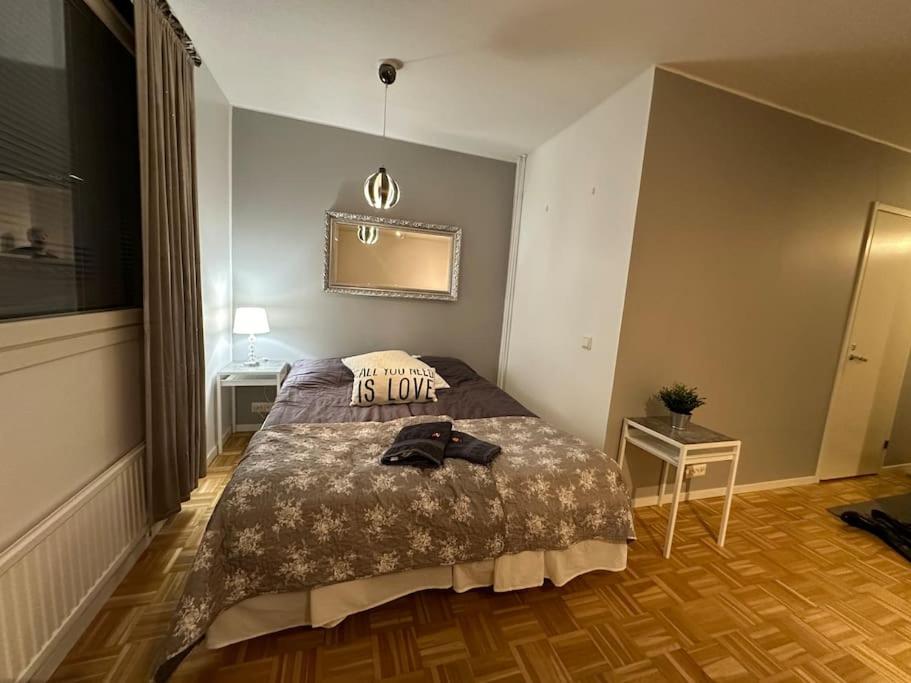 托尔尼奥Pikku-Utopia - Studio withSauna的卧室配有一张床,墙上设有镜子
