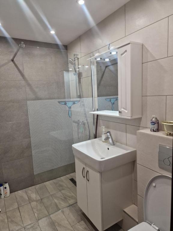 苏恰瓦Special apartment NADEVA的一间带水槽、淋浴和卫生间的浴室