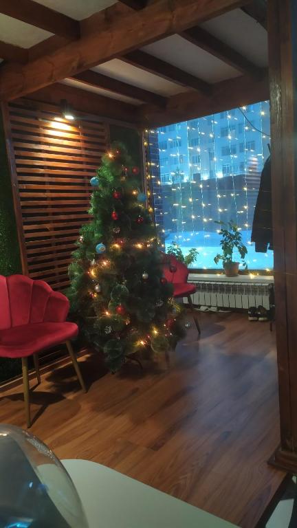阿斯塔纳Hostel Caps Home的窗户房间里一棵圣诞树