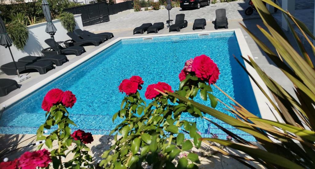 希杰弗朗吉卡Villa Barbara & Zoran with heated swimming pool的游泳池前有红色的鲜花