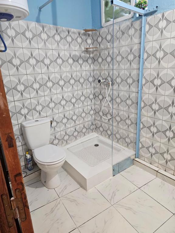 MamoudzouLE COROSSOL APPART的一间带卫生间和玻璃淋浴间的浴室