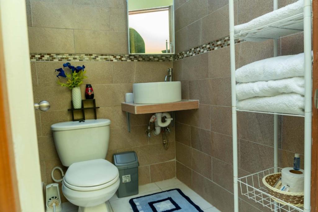 卡斯特里Bougainvillea Apartments的一间带卫生间、镜子和毛巾的浴室