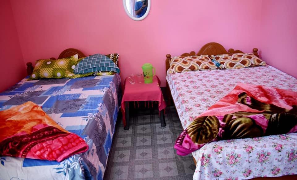 Jyoti GaonMANAS RAY HOMESTAY的一间卧室设有两张床和粉红色的墙壁