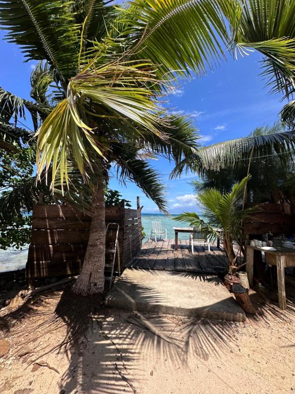 AfareaituTeraupoo Lodge Maison的棕榈树在沙滩上与大海