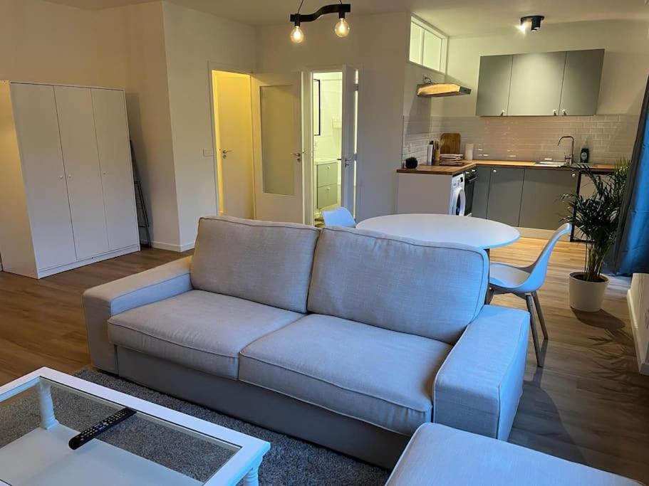 布鲁塞尔Beautiful Flat in Etterbeek的带沙发和桌子的客厅以及厨房。