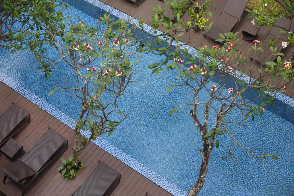 库塔桑提卡库塔酒店的蓝色游泳池前两棵树