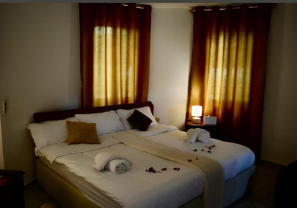 瓦迪穆萨Marvel Hostel的一间卧室配有一张大床和毛巾