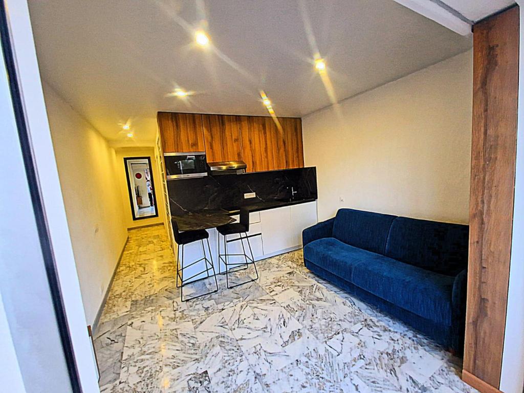 尼斯Côte d'Azur Oasis Suites的客厅配有蓝色的沙发和钢琴