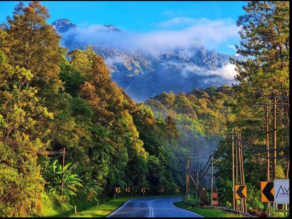昆达桑Ayana Holiday Resort的山中森林中的道路