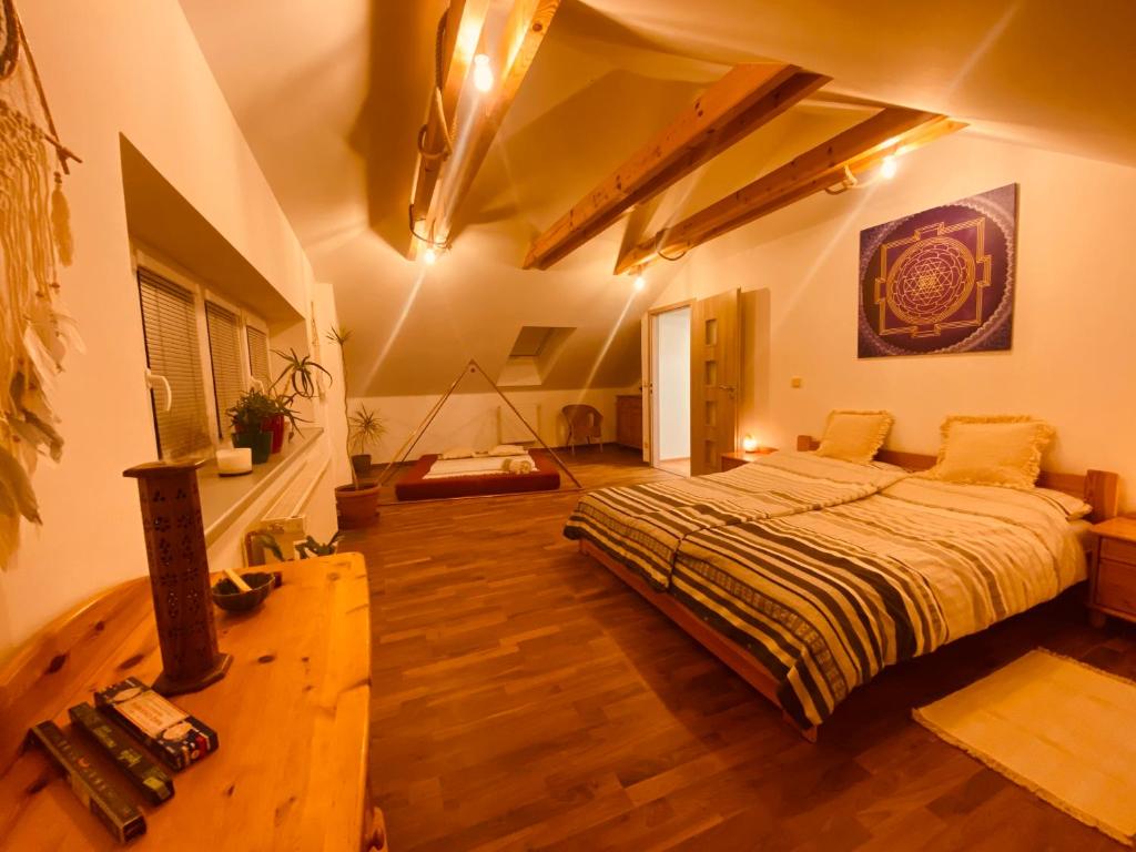 达那撒扎乌Pyramida & Sauna Relax Guest House的一间卧室,卧室内配有一张大床
