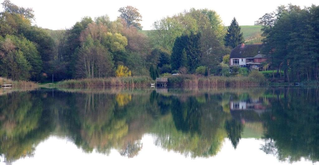 Ferienwohnung Haus am See平面图