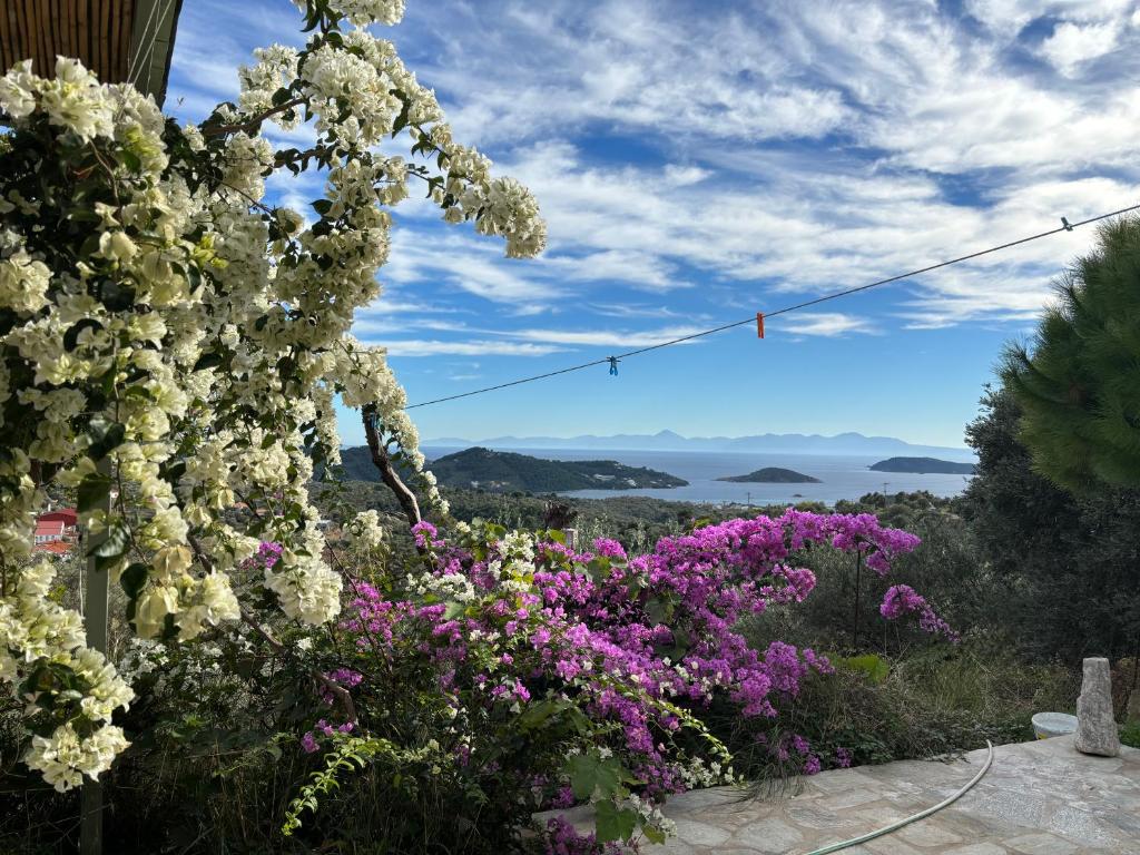 斯基亚索斯镇Tierra的鲜花花园,享有海景