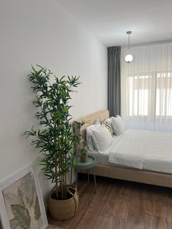 皮亚特拉-尼亚姆茨Cloud 9 Studios的一间卧室配有一张床和盆栽植物