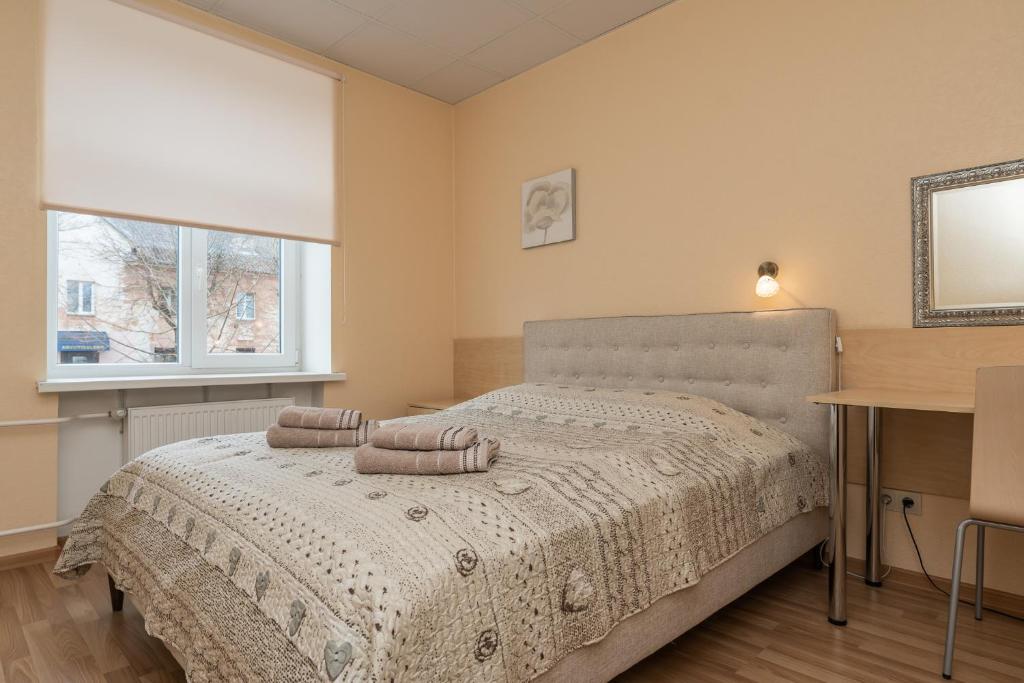 科赫特拉-耶尔韦Virumaa Hostel的一间卧室配有一张带两个枕头的床