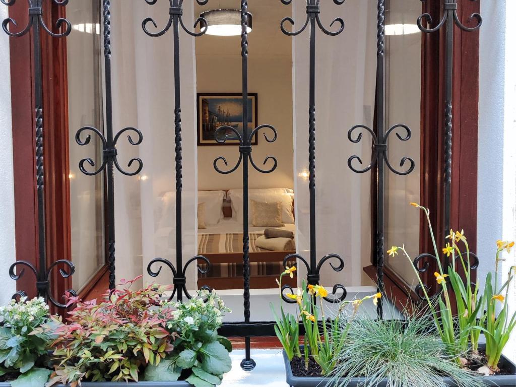卡什泰拉Apartment Castellina的一间设有镜子和一些植物的房间