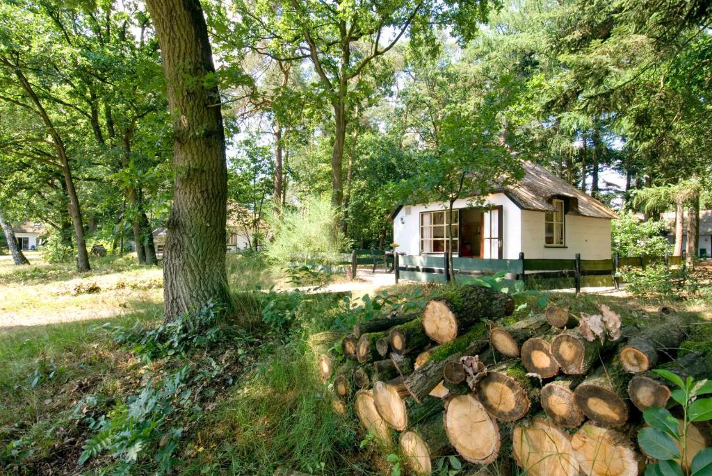 奥特罗Tiny House de Berken的小屋前的一堆木头