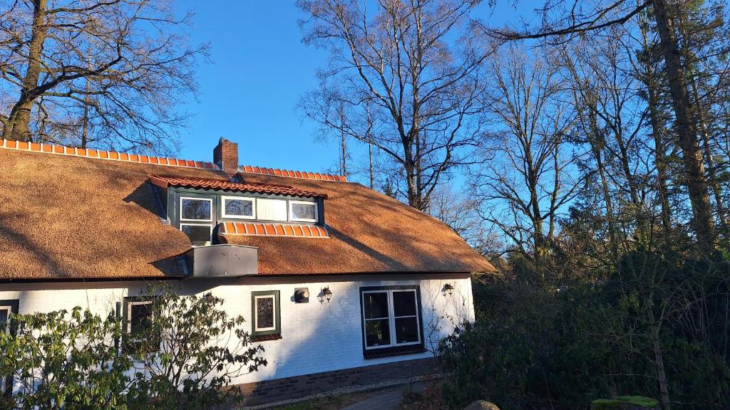 奥特罗Familiehuis De Erica - 12 p的白色的房子,有棕色的屋顶和树木