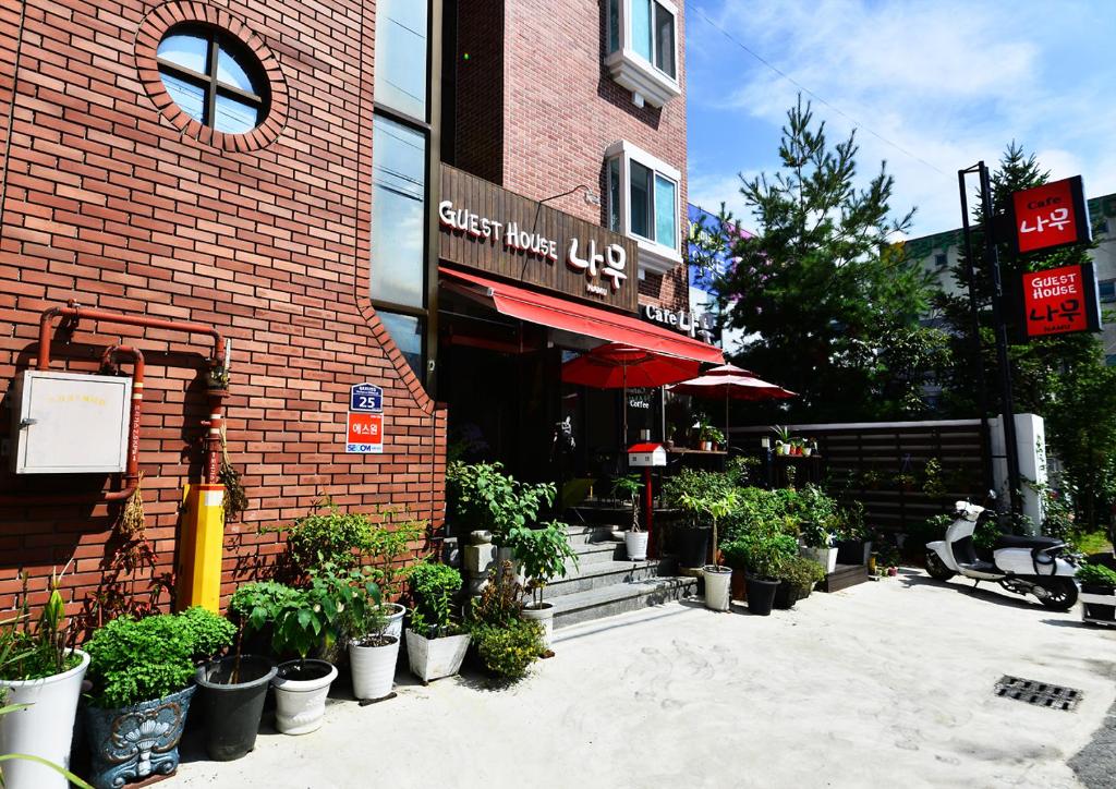 庆州庆州娜姆旅馆的砖楼前有盆栽的咖啡馆