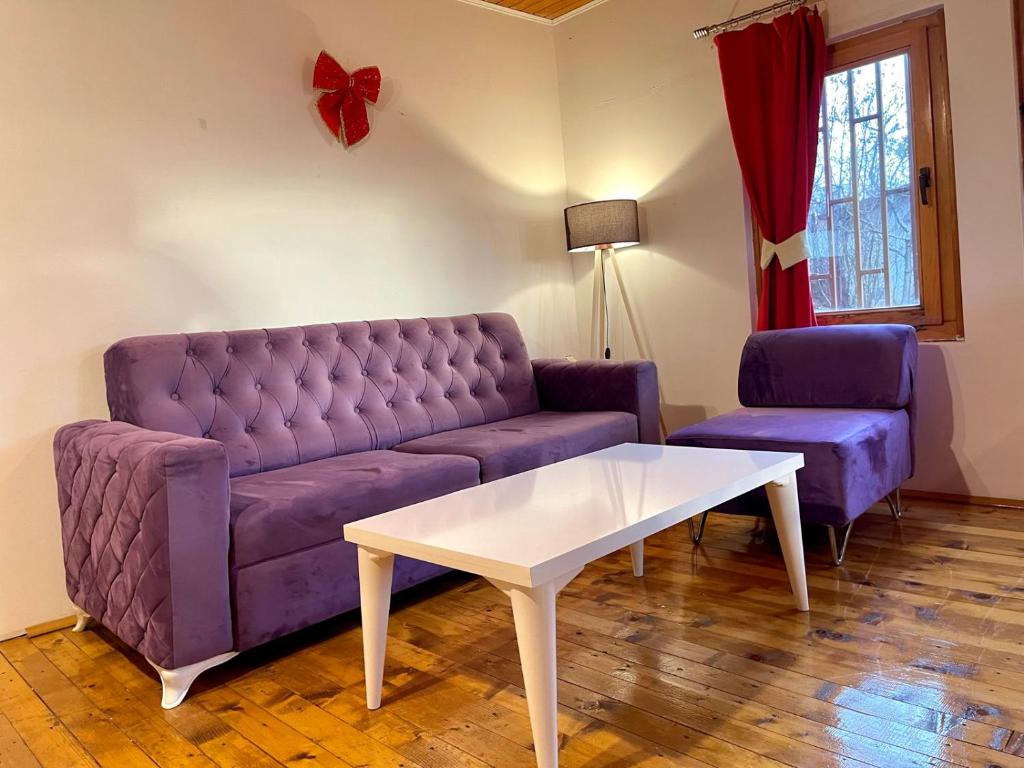 普里什蒂纳Villzone with big garden的客厅配有紫色沙发和桌子